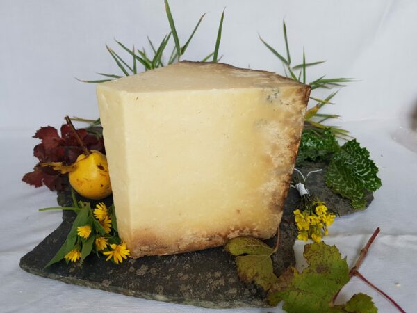 fromage cantal vieux