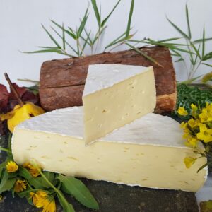 fromage céroux cru