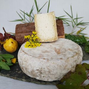 fromage tome chèvre