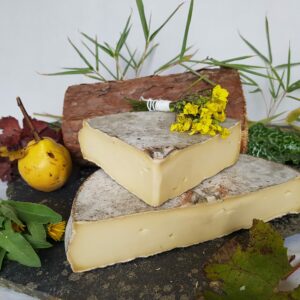 fromage saint nectaire