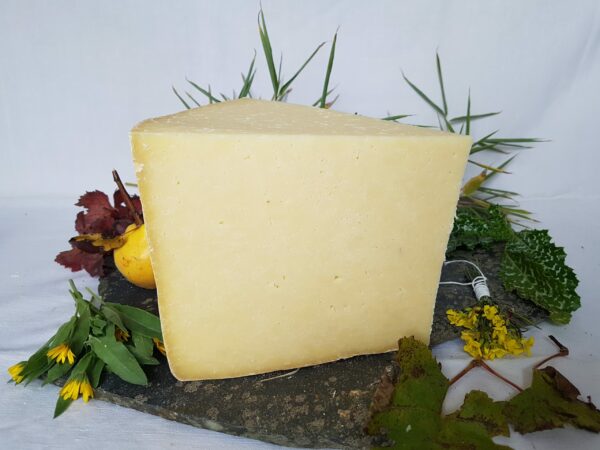 fromage cantal jeune
